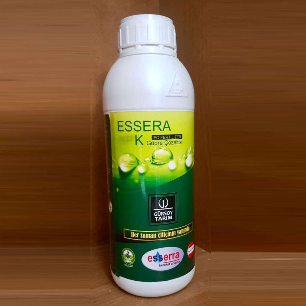 ESSERA K