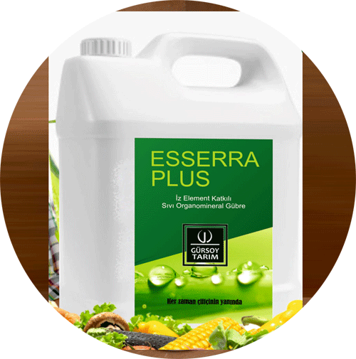 ESSERA PLUS